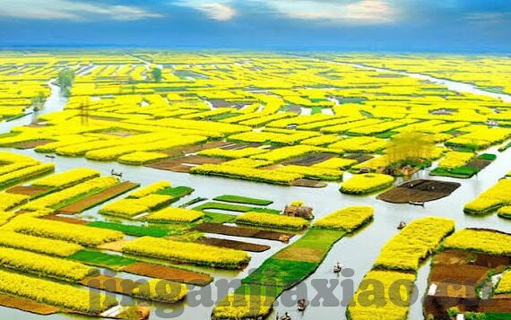 成都大象传媒有限公司-成都大象传媒，文化创意的桥梁与时代脉动的见证者