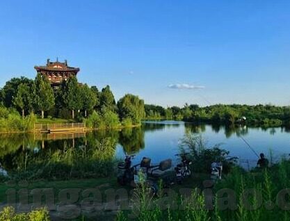 国产麻豆91久久久-探寻国产麻豆91久久久背后的文化与道德考量