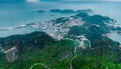 国产麻豆剧果冻传媒免费观看-探索国产麻豆剧，果冻传媒的另类魅力