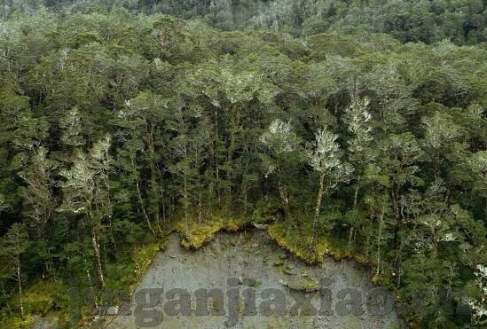 伦理电院免费-伦理电院，免费教育的伦理考量与现实实践
