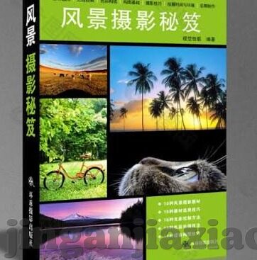 麻豆传媒女主角-麻豆传媒与多角度审美的探索