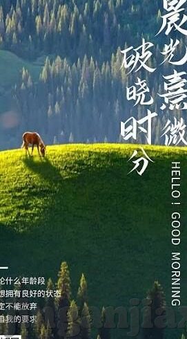 糖心vlog官网入口txvlog-糖心vlog——全面揭示值得品尝的Vlogger生活点滴