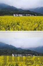 中文字幕无线观看免费-解锁文化新视界，中文字幕无线观看的自由之旅